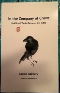 crows