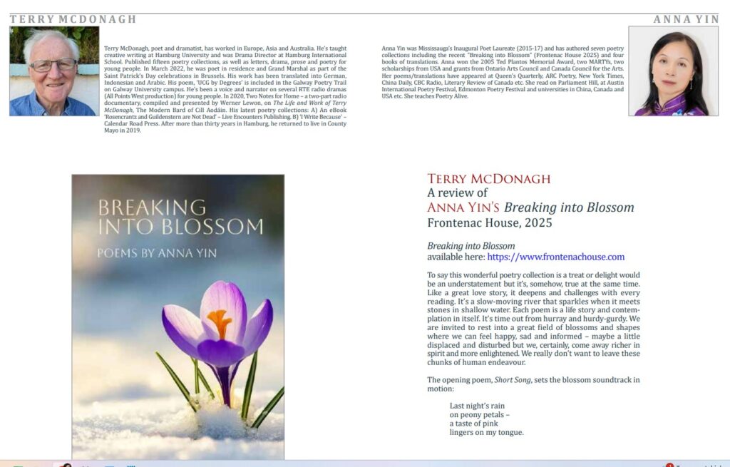 Terry McDonagh's review of Breaking into Blossom